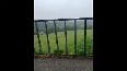 The narrowboat experience  2